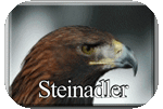 steinadler_avatar2